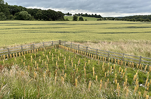 Agrovista Amenity Supports Eco-Friendly Roadside Restoration